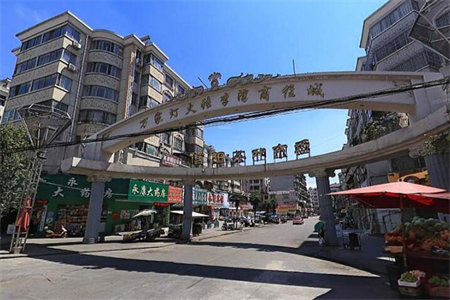 大源·枫香小镇60万精装修出售拎包即住物业好